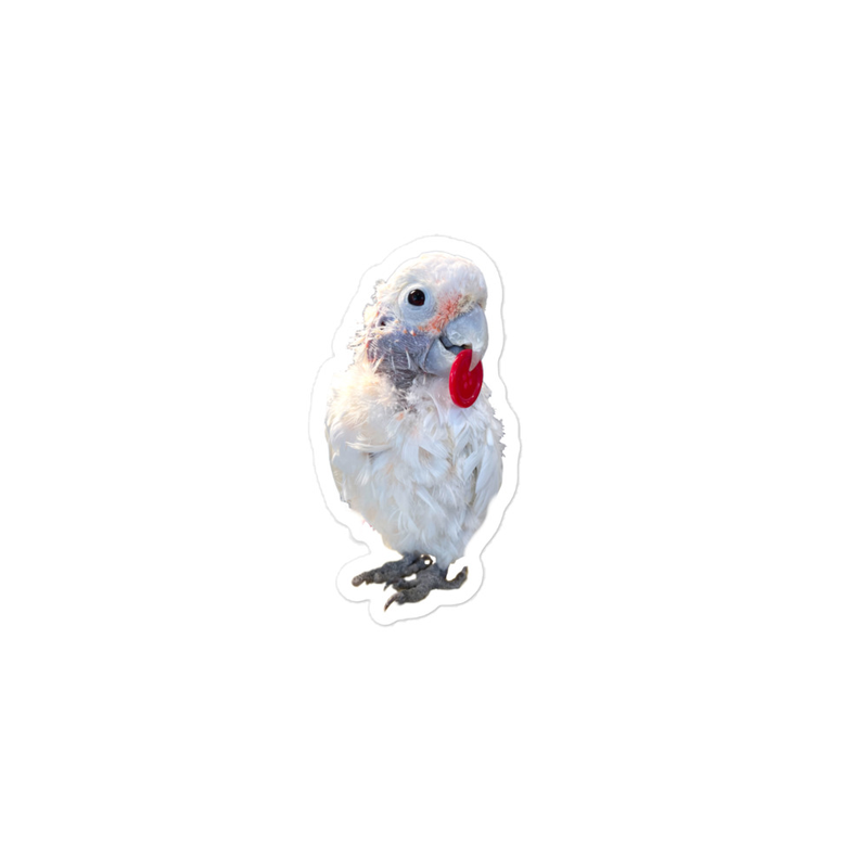 Bubble-free Coco Buttons Stickers